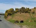 Rondje Lake District op 3-5-2012 (172)